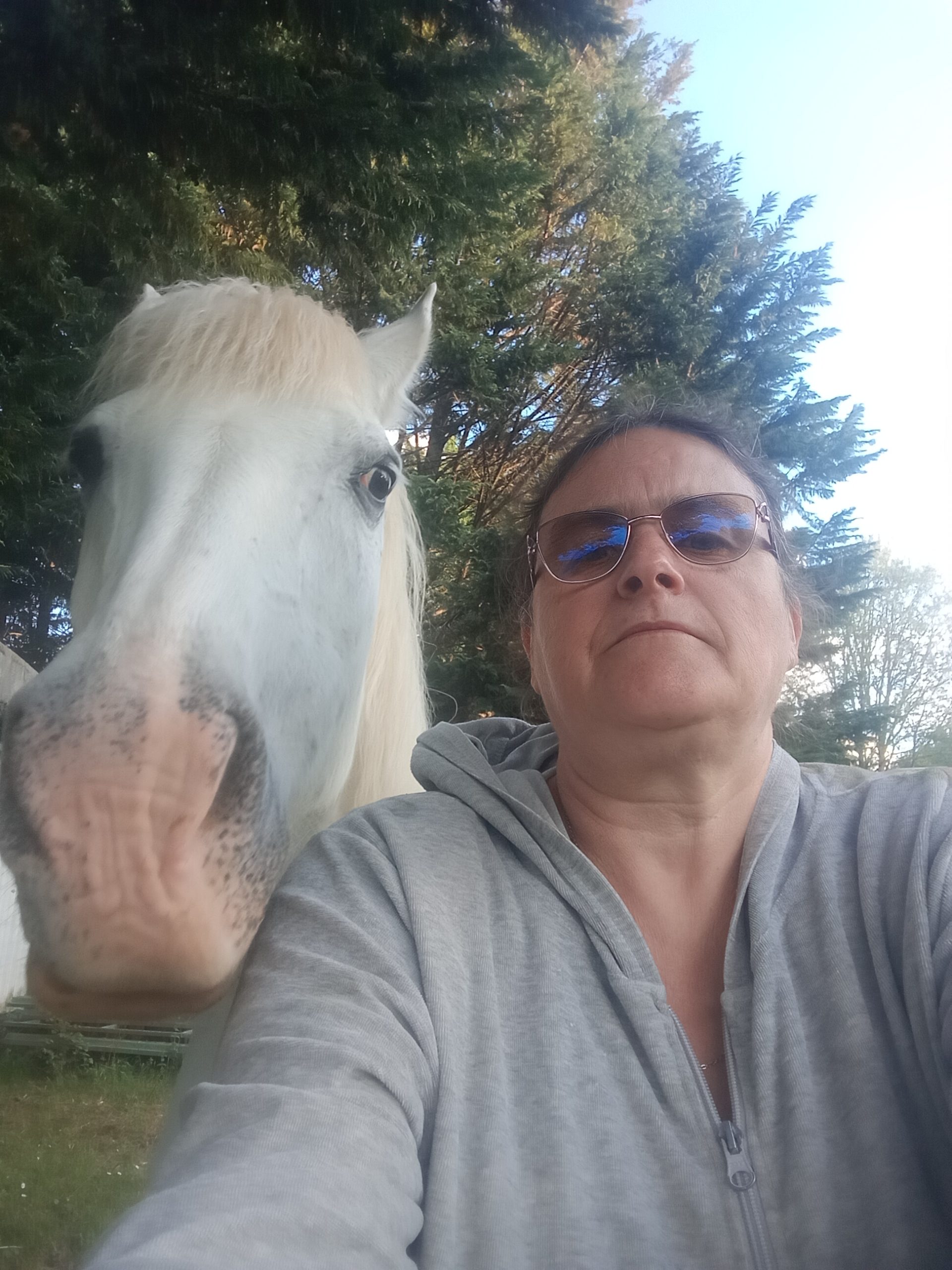 Quand la visualisation guide le cheval