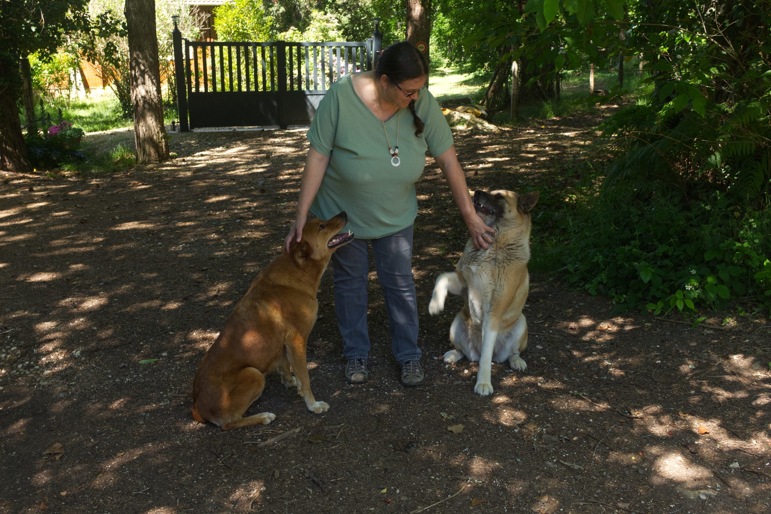 Amour et respect : la leçon de nos animaux
