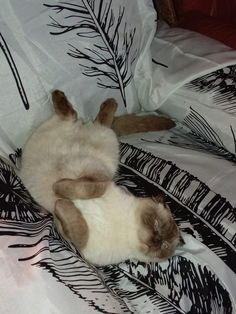 Tranquile le bien nommé