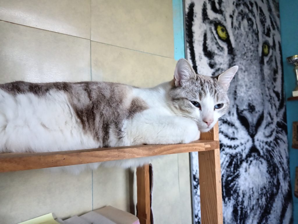 Le repos quel plaisir !